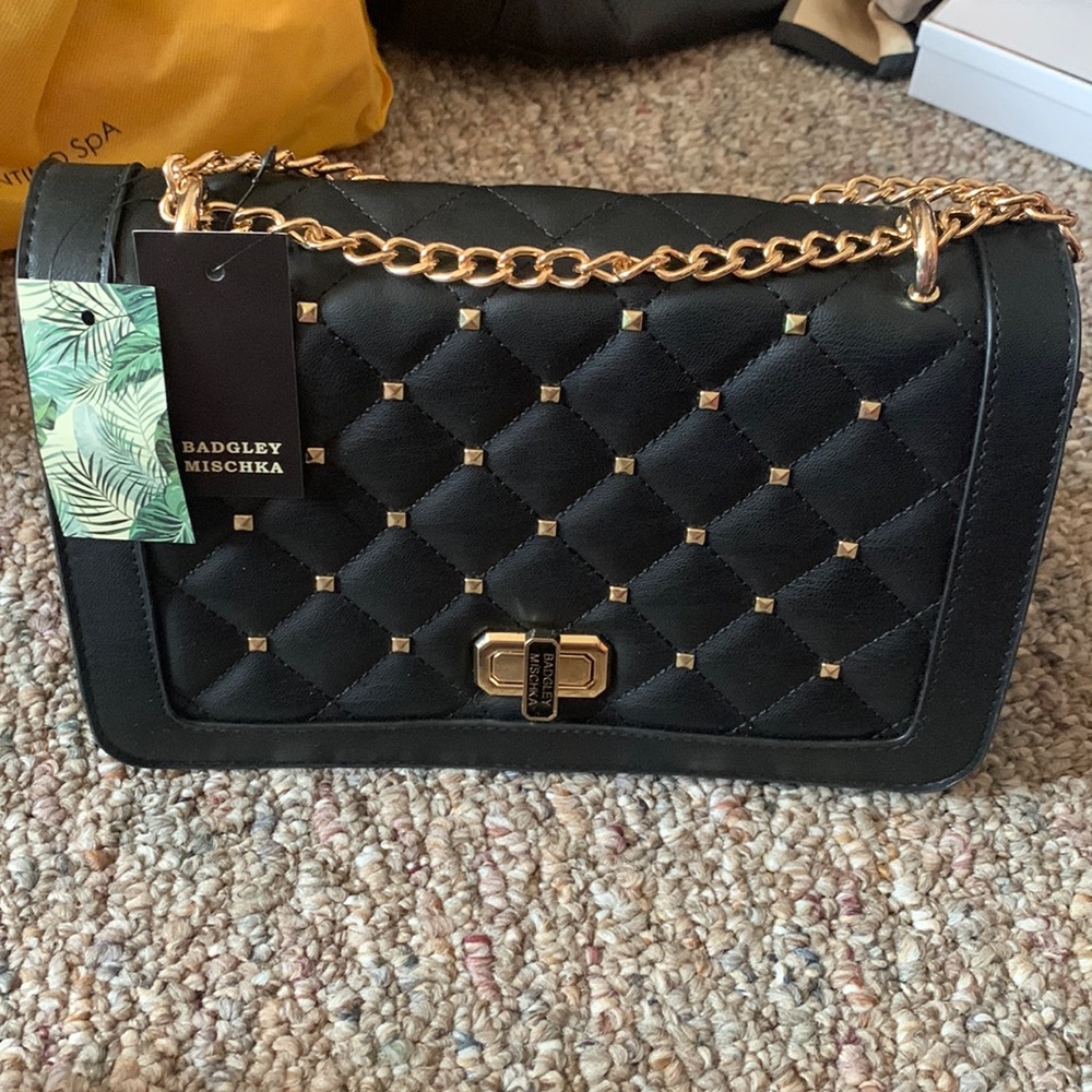 Badgley mischka purse
